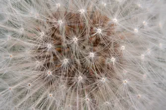 Cover image for LiveWyer solution: Service Mesh